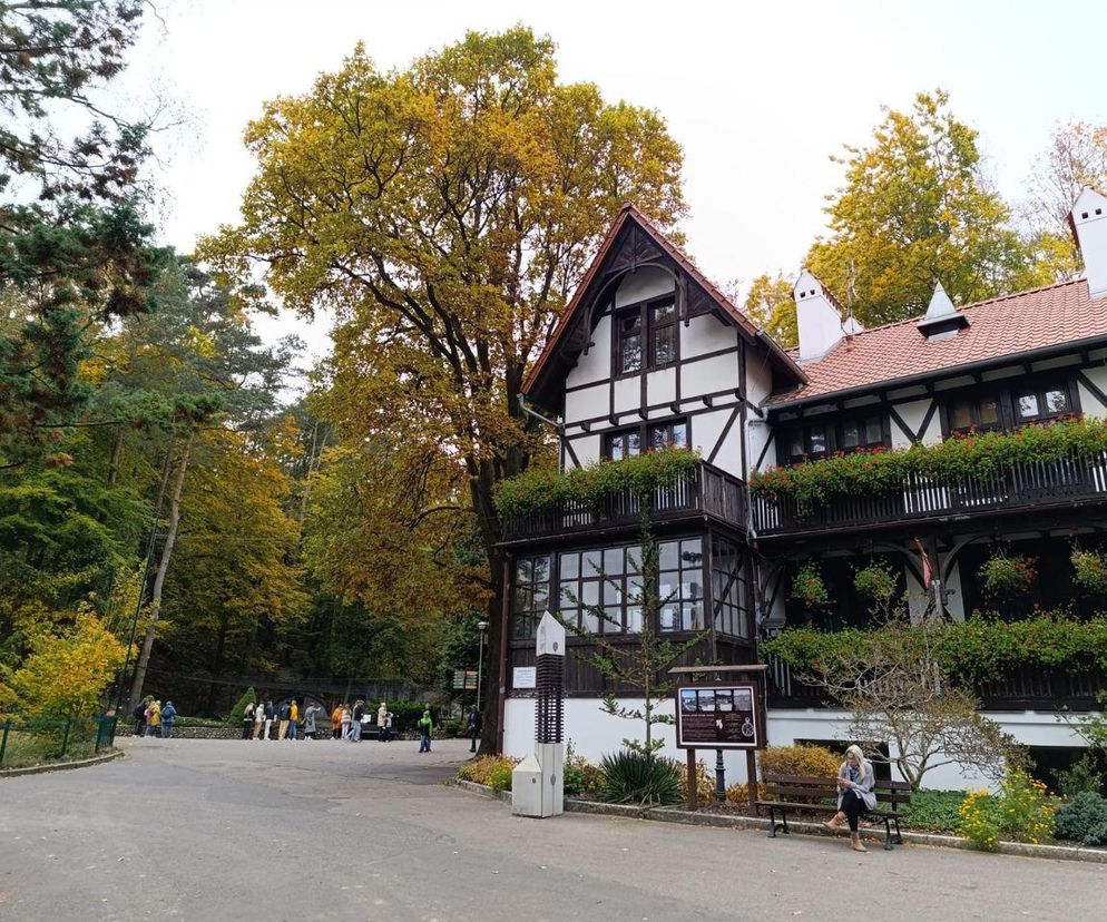 Nowe zwierzęta przyjechały do gdańskiego zoo