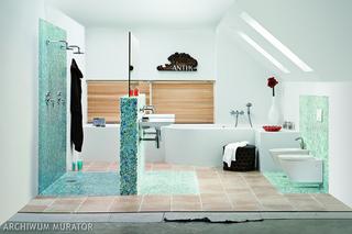 Ściana kabiny prysznicowej - ścianą z umywalką