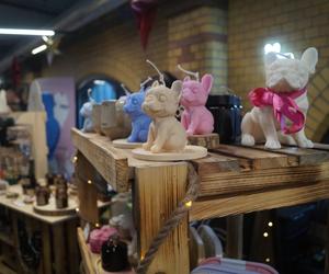 Psiaki opanowały Halę Targową! Za nami wyjątkowe targi 