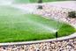 Nawadnianie trawnika - co trzeba zrobić, by trawnik został dobrze podlany?