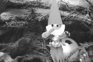 Tak kiedyś przygotowywano się do Świąt Bożego Narodzenia