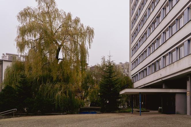 Energoprojekt w Krakowie