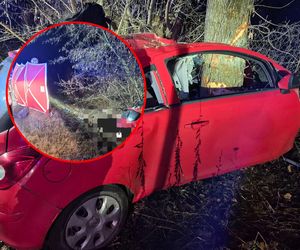 Huknął oplem w drzewo, pień przepołowił auto. Tragedia w Nowym Dworze Mazowieckim