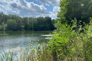 Glinianki w Zielonej Górze popadają w ruinę? 