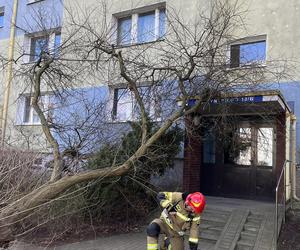 Straż pożarna zachodniopomorskie