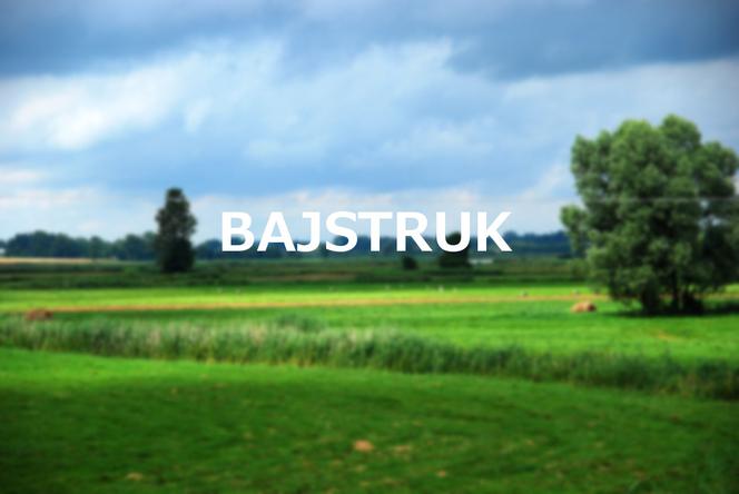Bajstruk