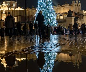 Najpiękniejsza choinka na świecie znajduje się w Polsce! Gdzie ją zobaczyć? 