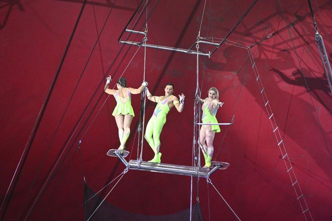 Cyrk Zalewski. Oto artyści 25. Międzynarodowego Festiwalu Sztuki Cyrkowej w Warszawie