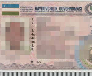 Fałszywe prawo jazdy na granicy
