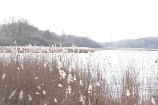 Jezioro Swarzędzkie 