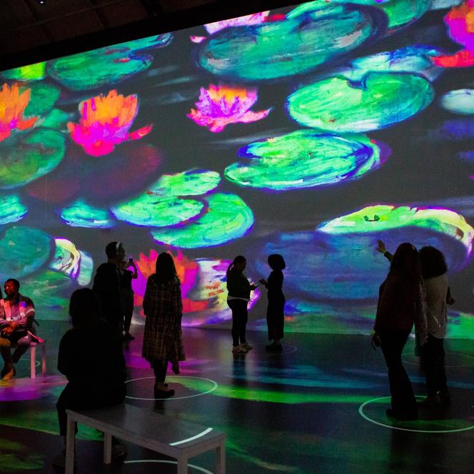 Immersive Monet & The Impressionists