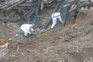 Służby nadal pracują w miejscowości Przewodów. Zobacz