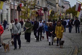 Wielki marsz adopciaków w Radomiu