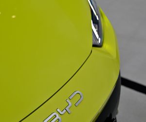 BYD DOLPHIN SURF