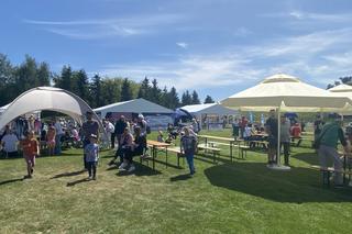 Wolin z rybą na talerzu - Gryfino [GALERIA]