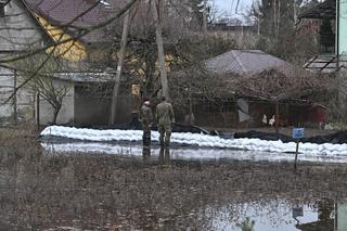 Powódź pod Wyszkowem. Wojsko pomaga zagrożonym gospodarstwom