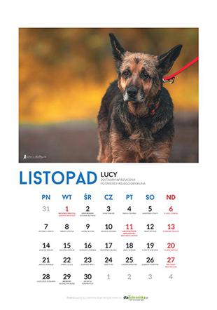 Listopad - kalendarz ze zwierzętami