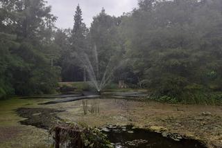 Arboretum Bolestraszyce