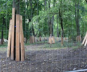 Rewitalizacja parku Bronowickiego w lublinie - postęp prac na koniec lipca 2025