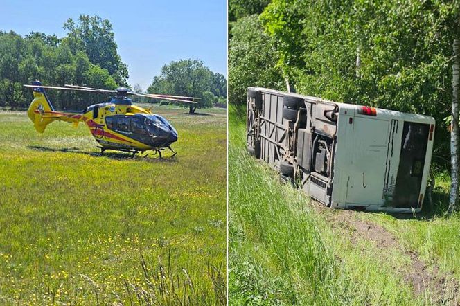 Wypadek autobusu ze szkolną wycieczką. Chciała ominąć lisa, teraz ma kłopoty