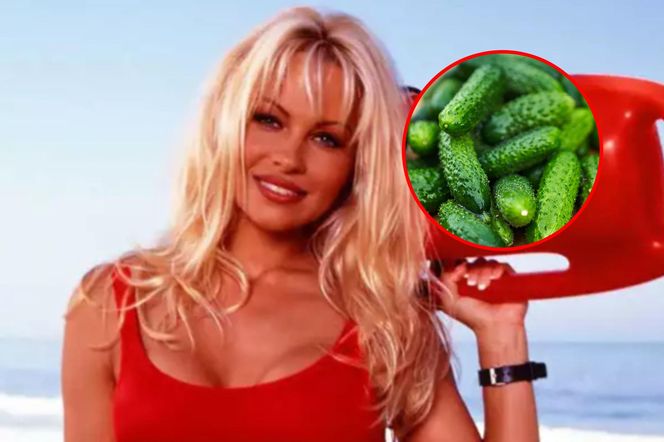 Pamela Anderson handluje ogórkami! Wielki sukces gwiazdy