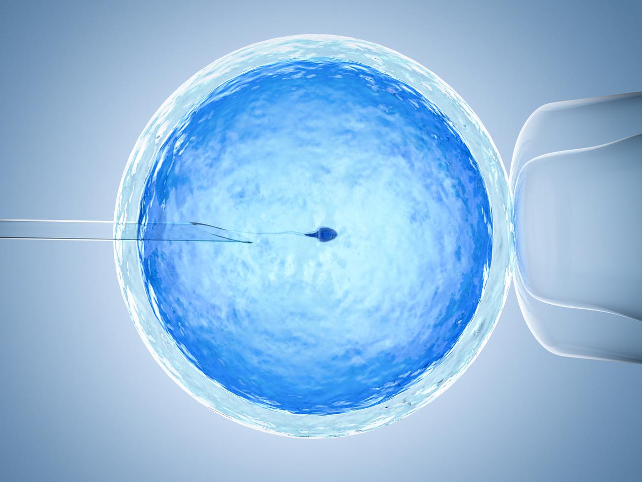 Dofinansowanie do in vitro w Opolu - radni przyjęli projekt. Kiedy ruszą zapisy?