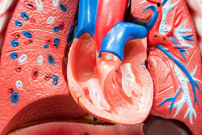 CHELATACJA (terapia chelatowa, terapia EDTA) - sposób na MIAŻDŻYCĘ