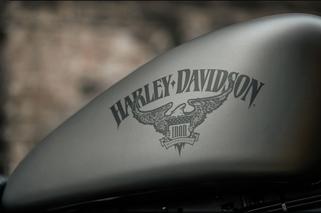 Harley-Davidson Sportster Iron 883