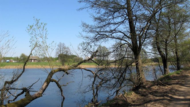 Z czym sztucznej inteligencji kojarzy się Podlasie? Postanowiliśmy to sprawdzić i zapytaliśmy AI