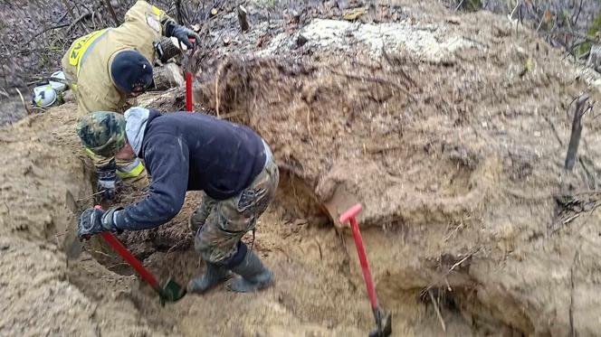 Lubelskie. Szczeniaki uwięzione w lisiej noże. Strażacy kopali w zmarzniętej ziemi przez 3 godziny