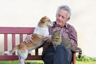 Pies i kot mogą odziedziczyć majątek? 