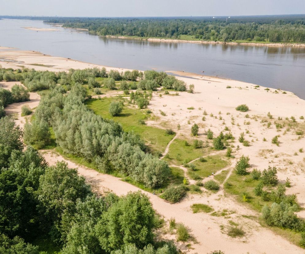 To prawdziwy raj na ziemi. Zakazana mazowiecka plaża zachwyca