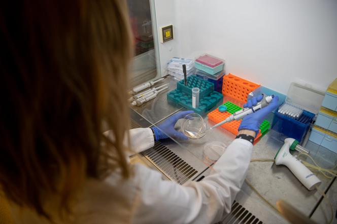 Tu powstaje polska szczepionka na koronawirusa