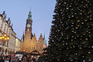 Gdzie pójść z dziećmi w Mikołajki we Wrocławiu? Sprawdźcie 6 propozycji 