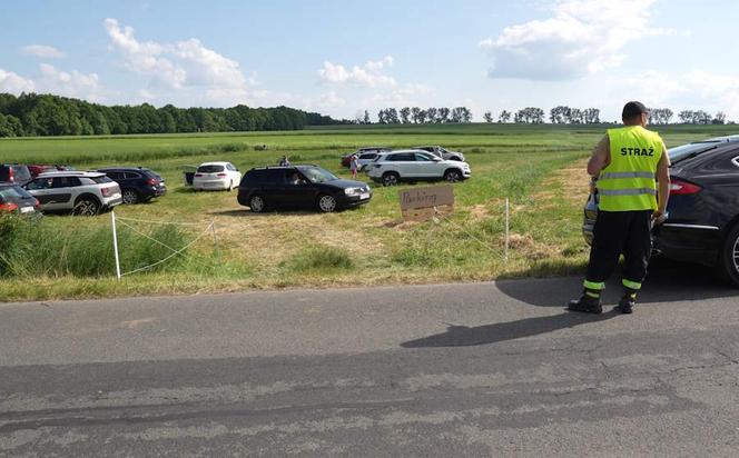 Samozbiory truskawek w Księżym Lesie