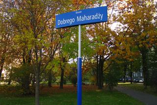 Dobry Maharadża, bateryjka i tajemnicze ogrody. Najdziwniejsze nazwy ulic w Warszawie! [GALERIA]