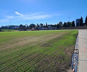 Budowa stadionu w Starachowicach. Na murawie już zielono