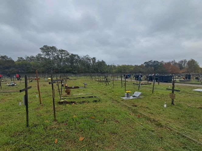 Rekordowa akcja "Światełko Pamięci". Uczniowie z Łodzi porządkowali opuszczone groby