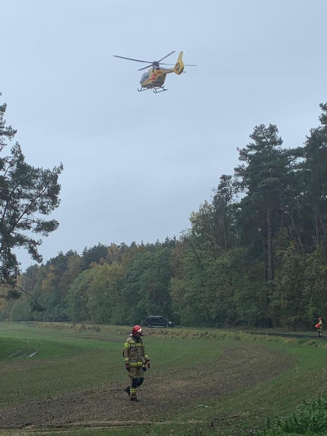 Wypadek na granicy dwóch powiatów. Kobieta uderzyła samochodem w drzewo