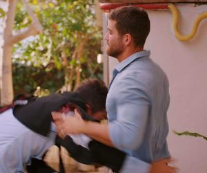 Miłość i nadzieja, odcinek 319. Ege, Cihan