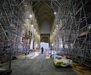 Katedra Notre Dame wkrótce otwiera się po pożarze! Zobacz, jak wygląda teraz