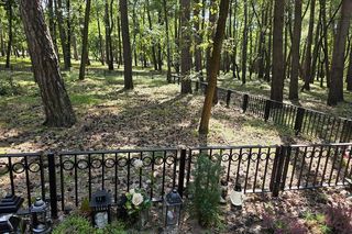 Las pamięci na Junikowie w Poznaniu