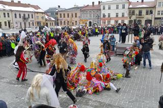 Gody Żywieckie plener