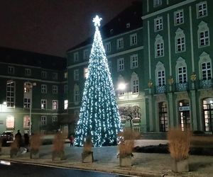 Skromne iluminacje świąteczne w Szczecinie