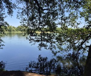 To jedno z największych jezior w Olsztynie. Kusi turystów piaszczystymi plażami