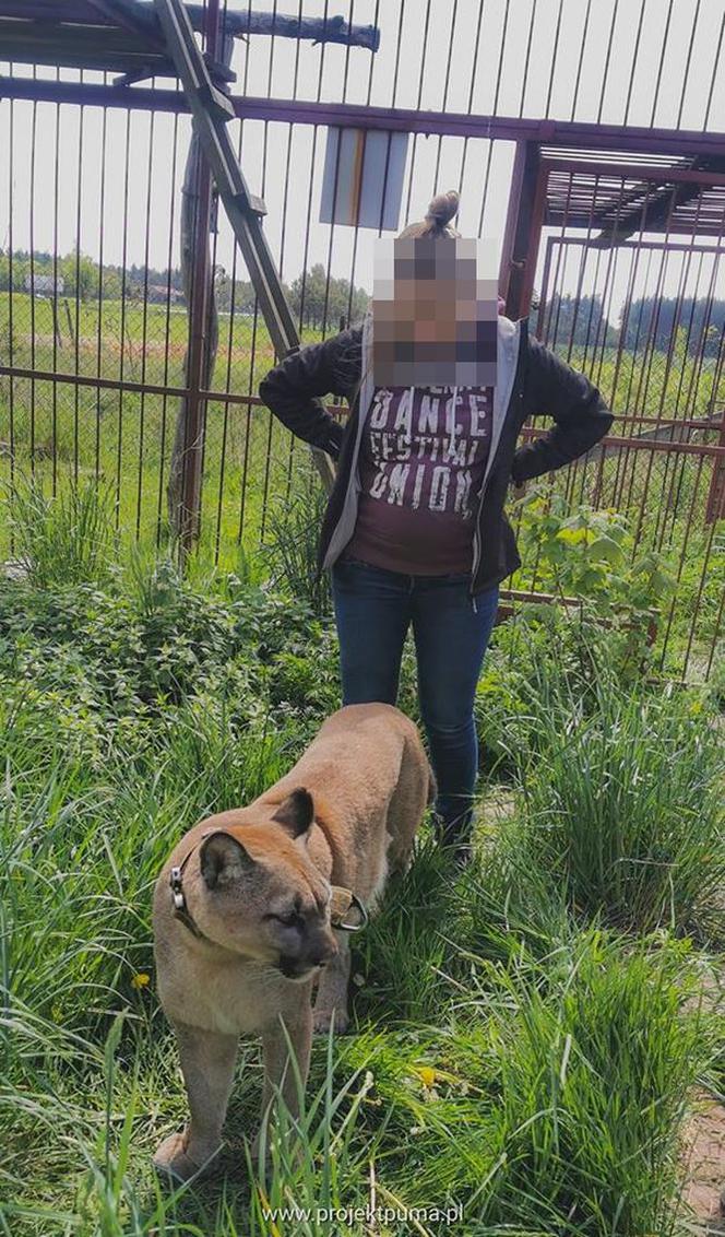 Śląskie: Dramatyczna akcja! Weteran z Afganistanu i puma: "To moje dziecko"