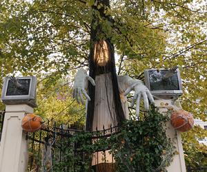 Willa na Jaśkowej Dolinie znów ozdobiona. Tym razem przechodniów zaskakują halloweenowe straszydła!