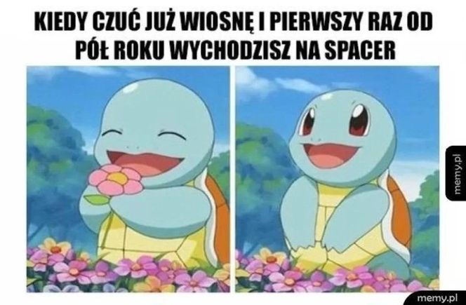 Wiosna 2025: Memy opanowały internet! Zobacz najzabawniejsze memy na powitanie wiosny [21.03.2025]