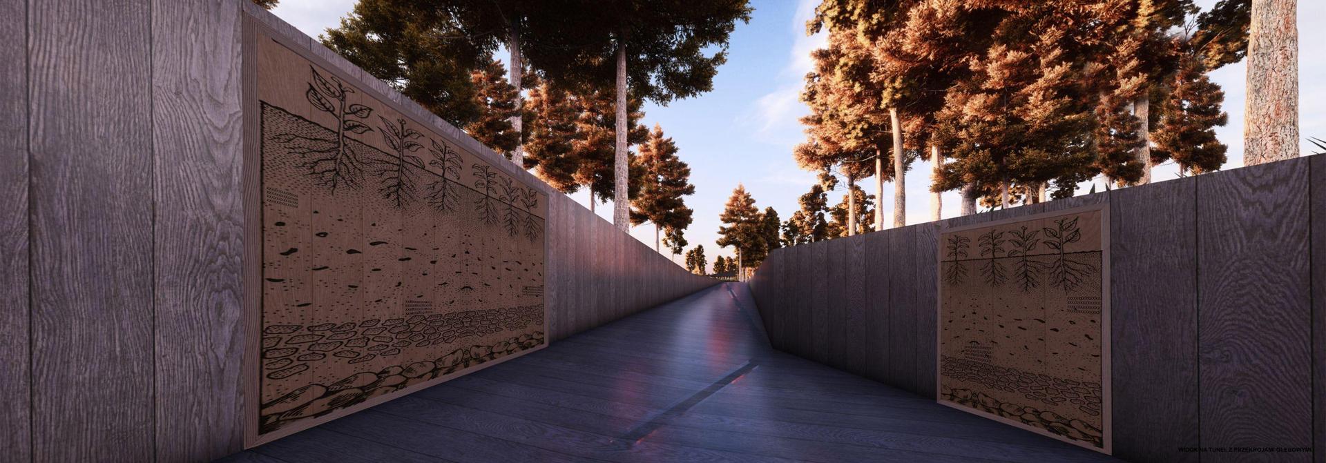 Ścieżka w koronach drzew w Zwierzyńcu według Autograf Studio