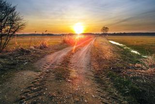 Wiosna [ZDJĘCIE DNIA]